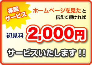 初見料サービス